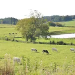 In Near Forest & Pond Tatil Evi