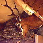 In Near Forest & Pond Tatil Evi Bièvre