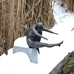 In Near Forest & Pond Tatil Evi