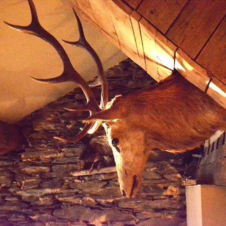 In Bievre Near Forest & Pond Дом отдыха Бьевр