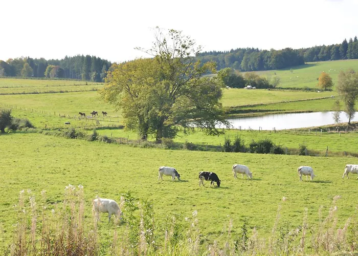 In Bievre Near Forest & Pond 別荘