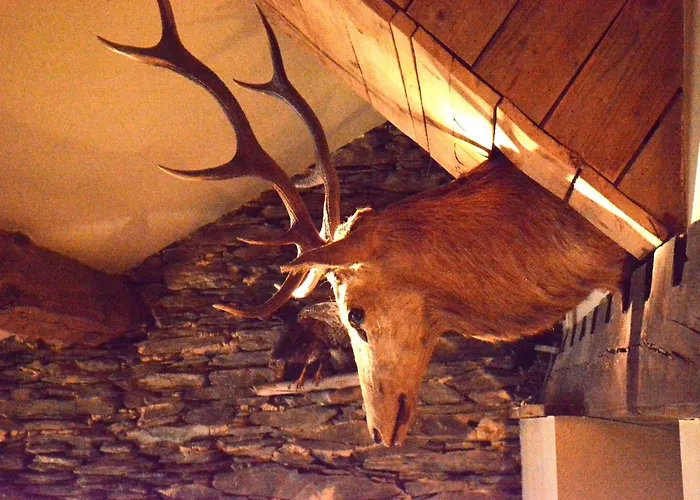 In Bievre Near Forest & Pond 別荘 ビエーヴル